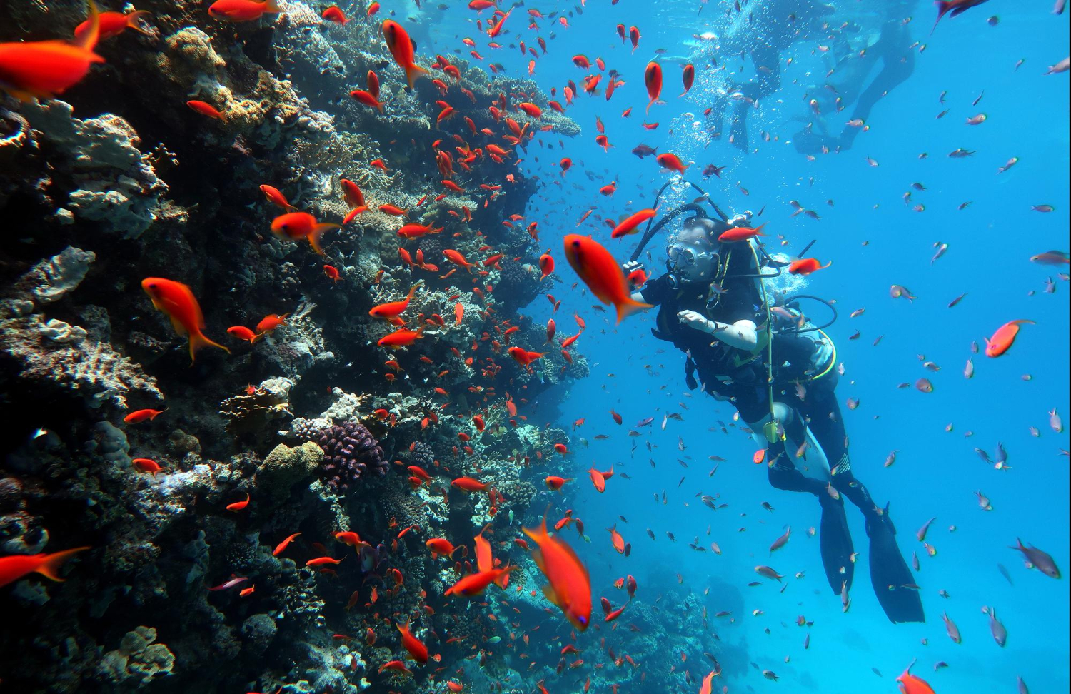 Multi-day scuba diving trip in Hurghada – 2 or 3-day Red Sea diving adventure with guided dives