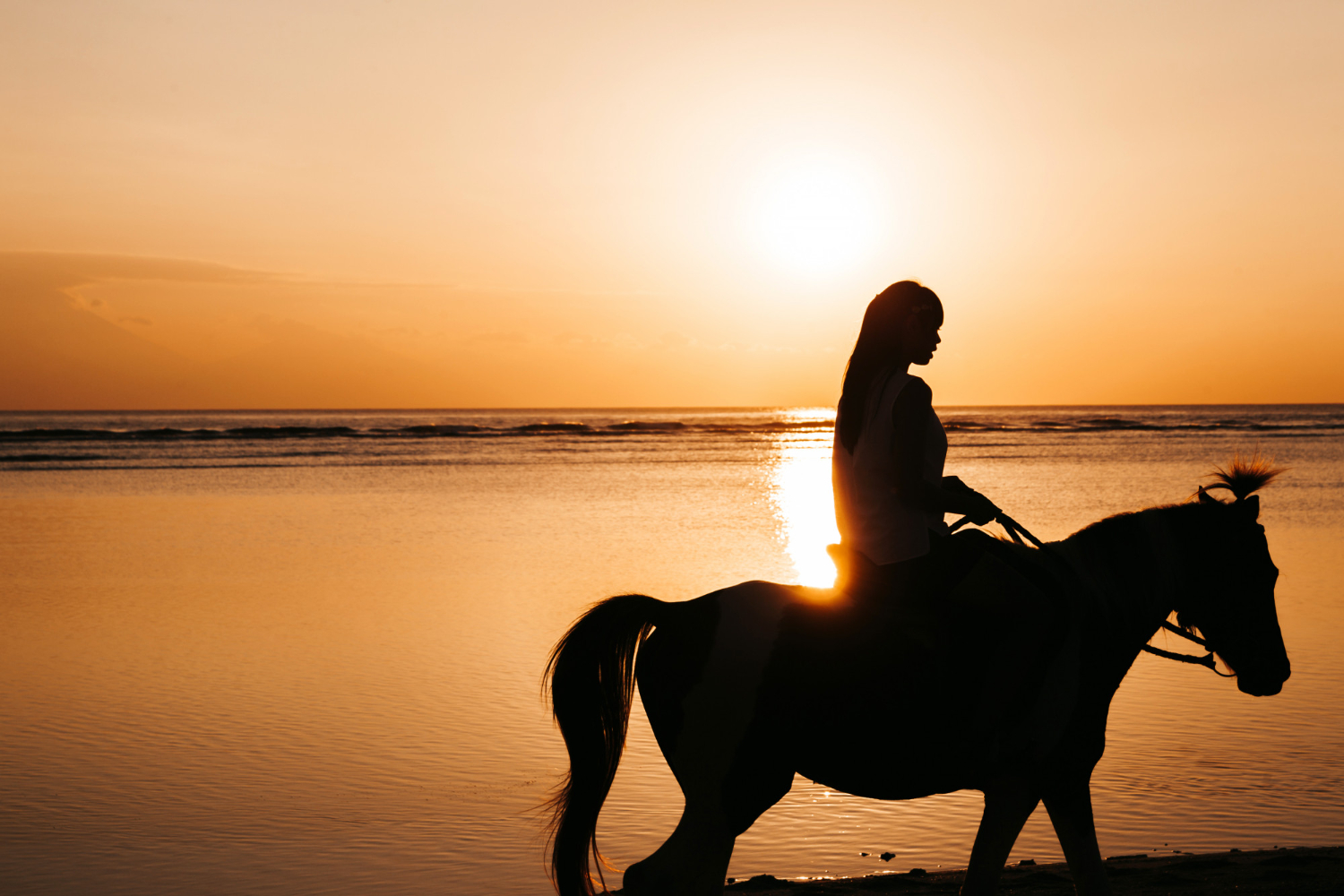 Horse ride in Hurghada along desert trails and by the Red Sea shore